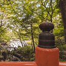 瑠香橋(ルカハシ)霊能者