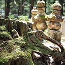 蘭花(ランカ)霊能者